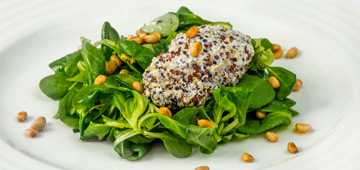 mozart dinner prague vegetarian christmas menu starter