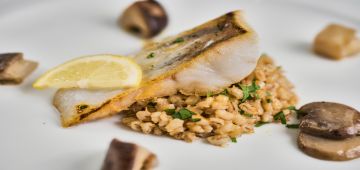 Mozart Dinner VIP menu fish